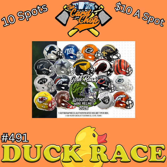 #491 Duck Race for Mystery Mini Helmet